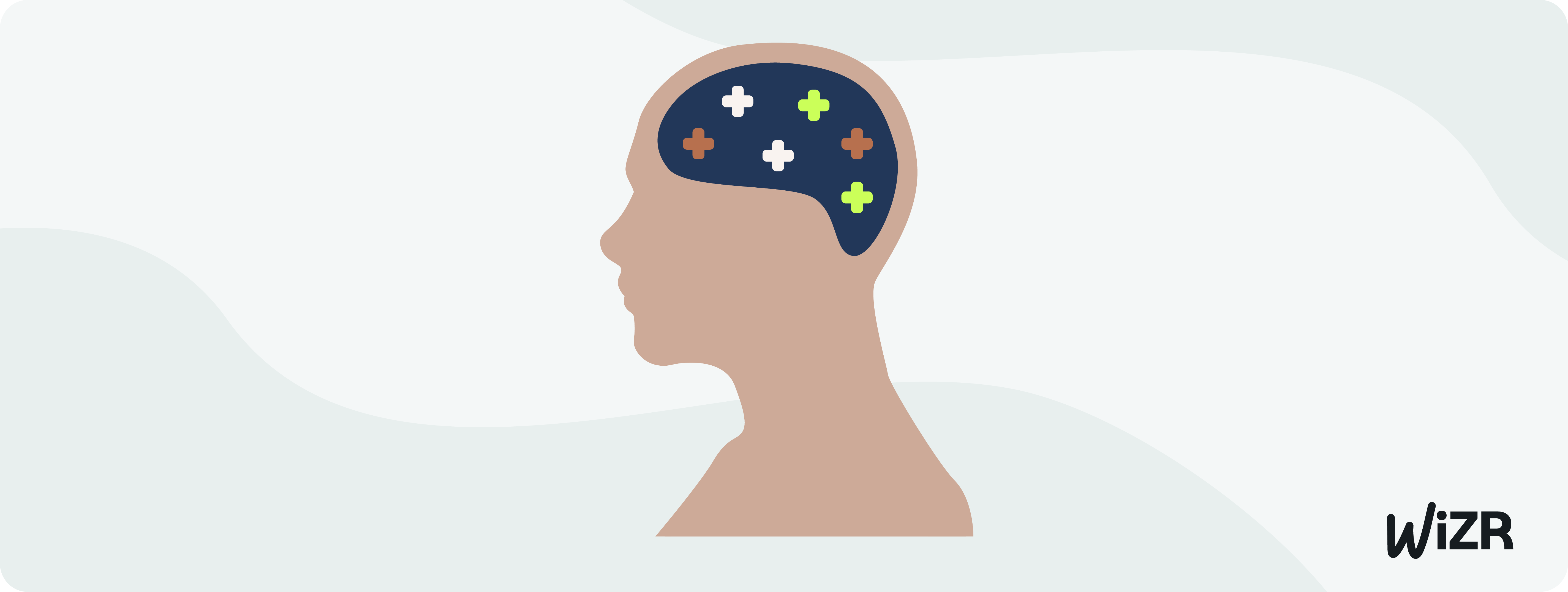 How To Become A Neuroscientist In India 2024 Wizr How To Become A Neuroscientist In India 2024 Wizr